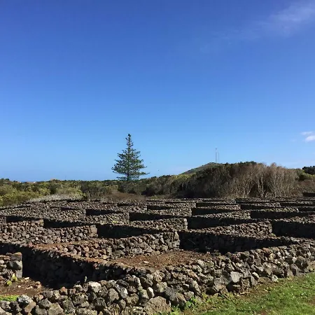 Quinta Do Bairro - Casa Da Vinha Holiday home *